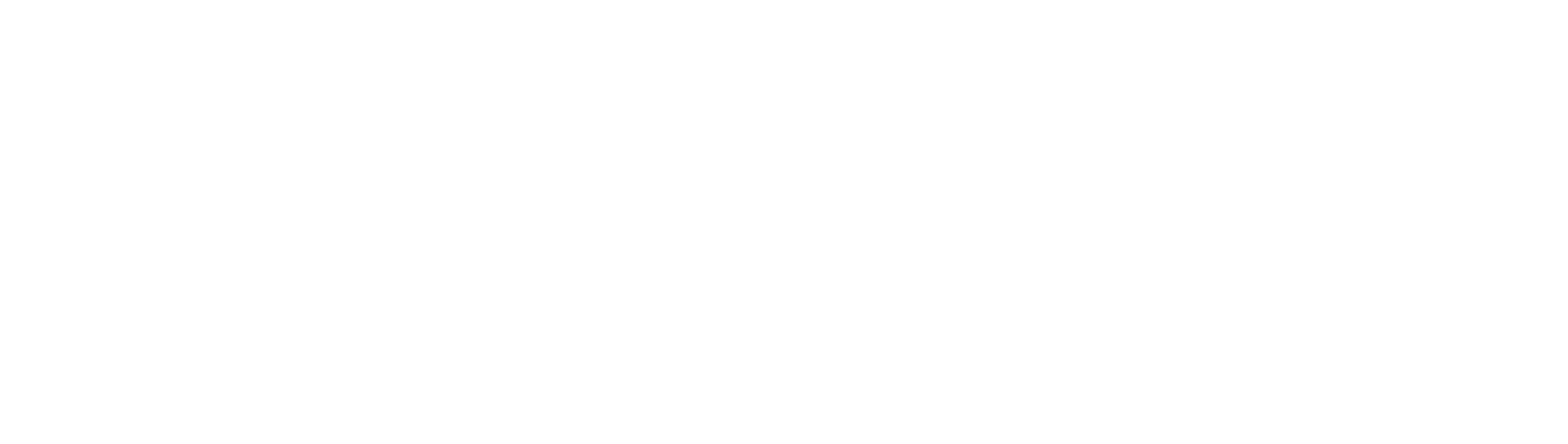 OPtide logo transparant white text