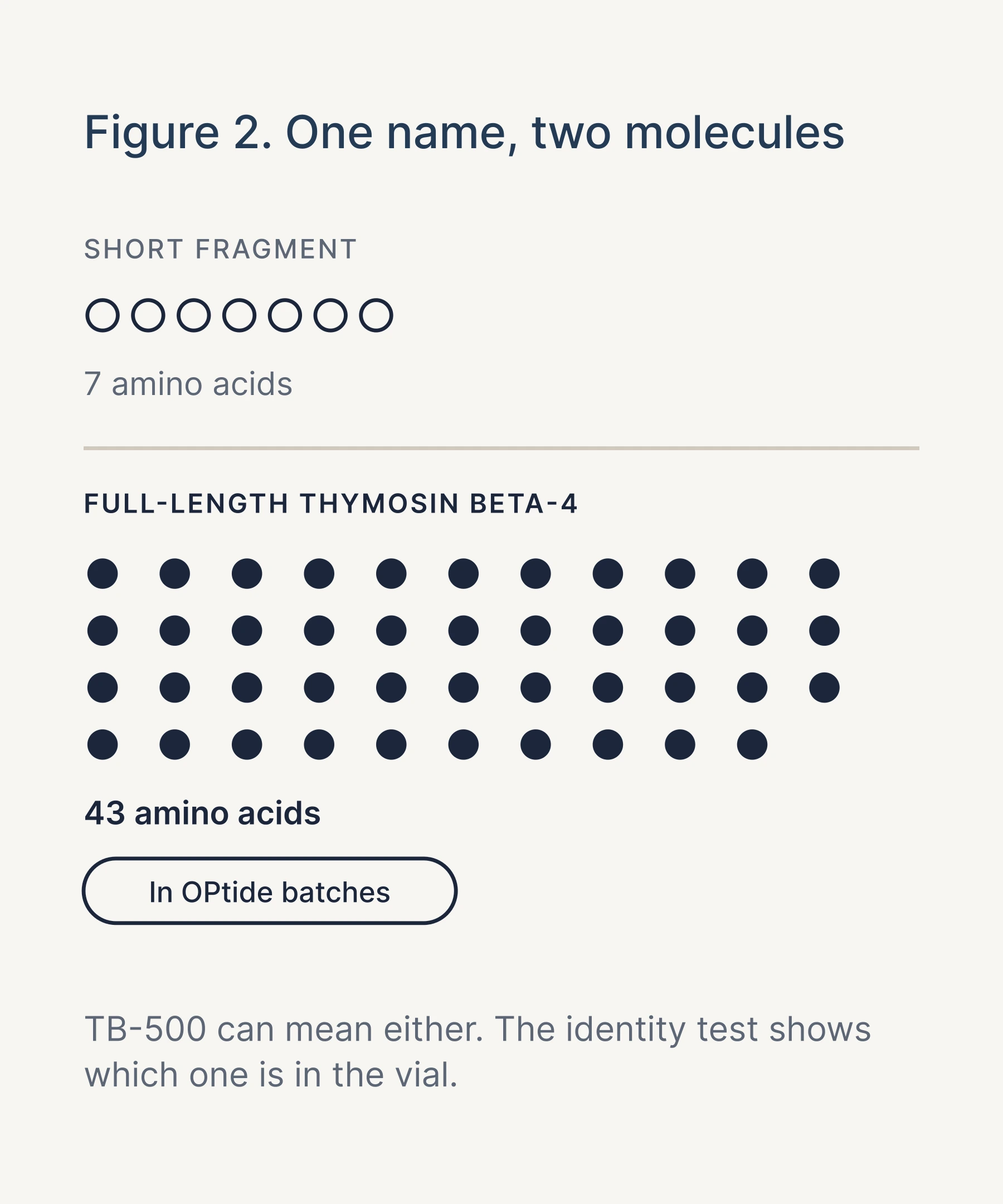 Figure 2: the short TB-500 fragment of 7 amino acids next to full-length thymosin beta-4 of 43 amino acids, which is what OPtide batches contain